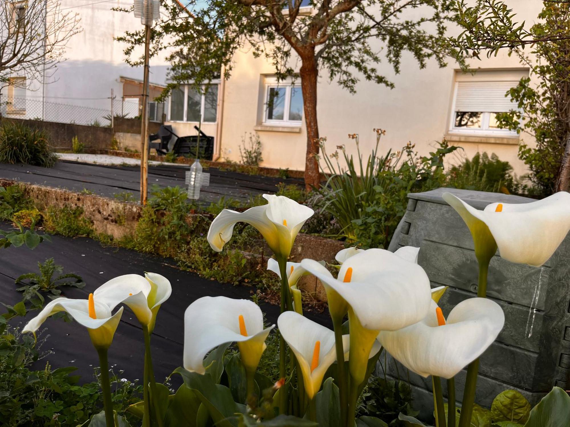 Comme A La Maison La Roche-sur-Yon Exterior photo